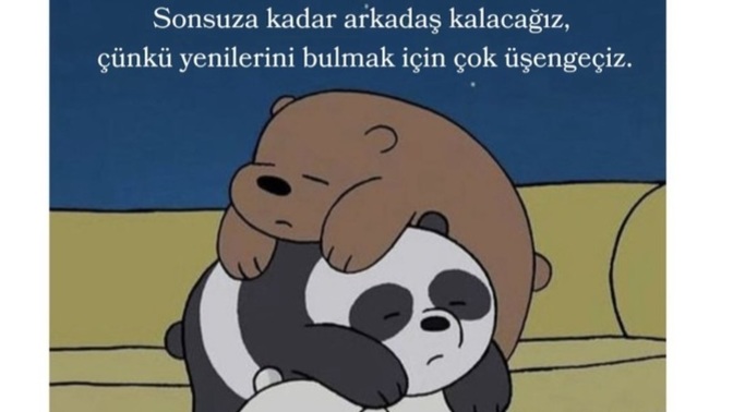 Yeni arkadasliklar kurmak konusunda ne kadar başarilisiniz?