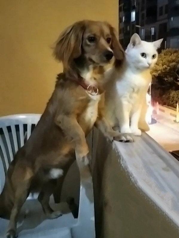 Sevgini böyle mıncıklayarak gösteren var mı?