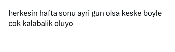 Keşke ile başlayan bir cümle kurar mısınız?