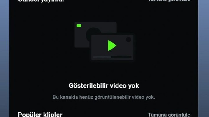 Pp nasıl koyabilirim?