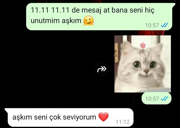 11.11 11.11 de mesaj atananız oldu mu 🤣🤣🤣?