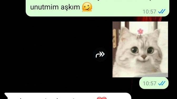 11.11 11.11 de mesaj atananız oldu mu 🤣🤣🤣?
