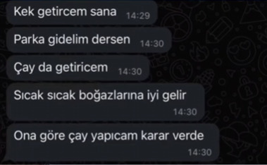 Seni seviyorum demesede olur...