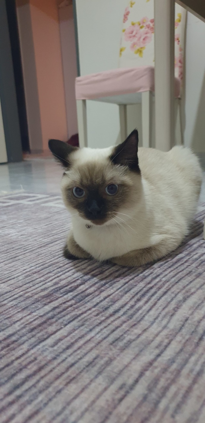 Ben ondan çok korkuyorum 🥺