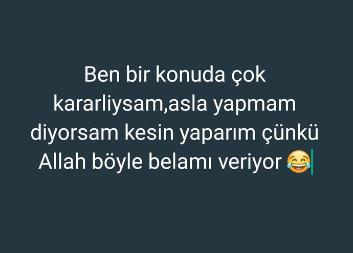 Asla yapmam dediğiniz bisiyi yaptinizmi?
