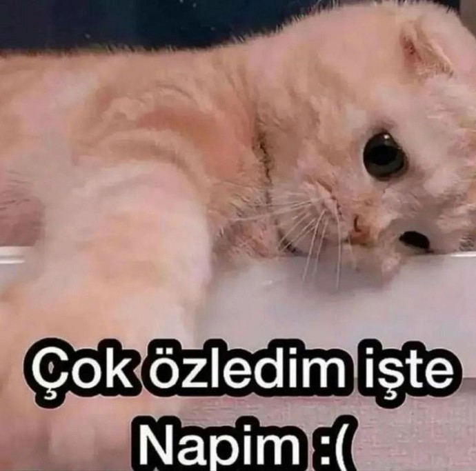 Üşüyor musunuz? Ne yapıyorsunuz?