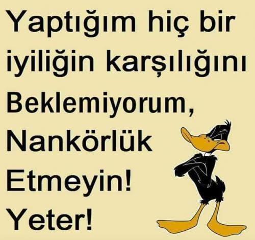 Nankör insanlara bir şey söylemek isterseniz bu ne olurdu?