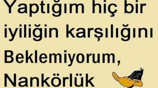 Nankör insanlara bir şey söylemek isterseniz bu ne olurdu?