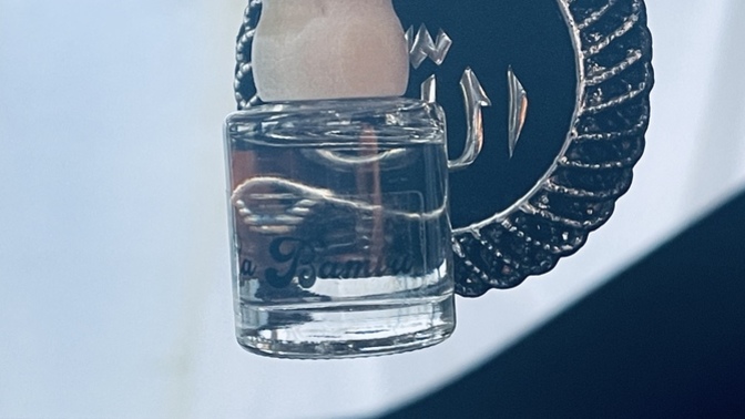 Yeni araç kokusu mu yoksa araçta ki parfüm kokusu mu daha güzel geliyor?