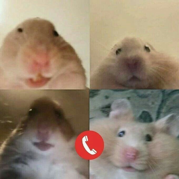 Görüntülü konuşurken karşınızda ki kişiye mi bakıyorsunuz?