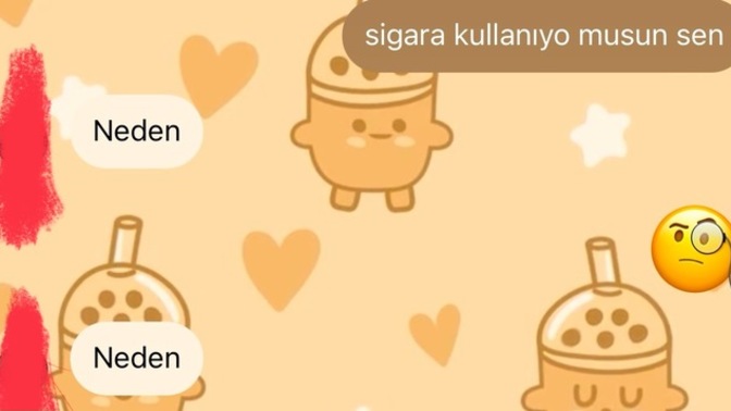 Kızla mesajlaşmalarına bakın yorumlayın ne bu ego mu kasıyo anlamadım?