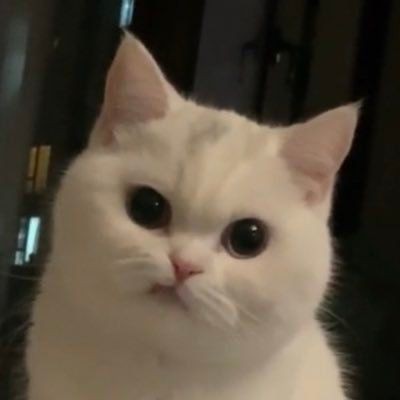 Bir günde 3 kelime kullanma hakkınız olsa hangi kelimeleri seçersiniz?