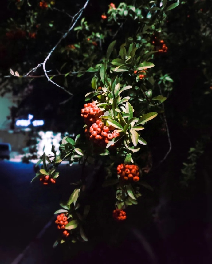 Xiaomi Note 10 Pro 