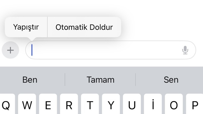 Telefona son kopyaladığınızı buraya yapıştırabilir misin?