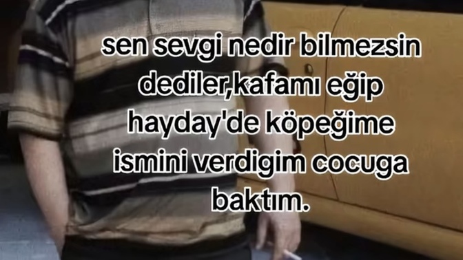Sizin için Sevgi nedir?
