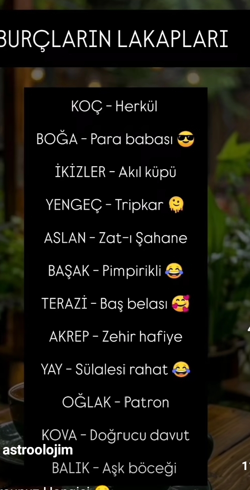 Size bir lakap takılsa bu ne olurdu?