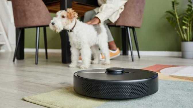 Evinizde robot süpürge kullanıyor musunuz?