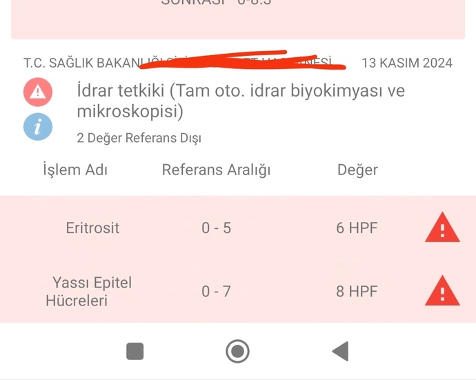 Sağlıkçı varsa değerlerimi yorumlayabilir mi?