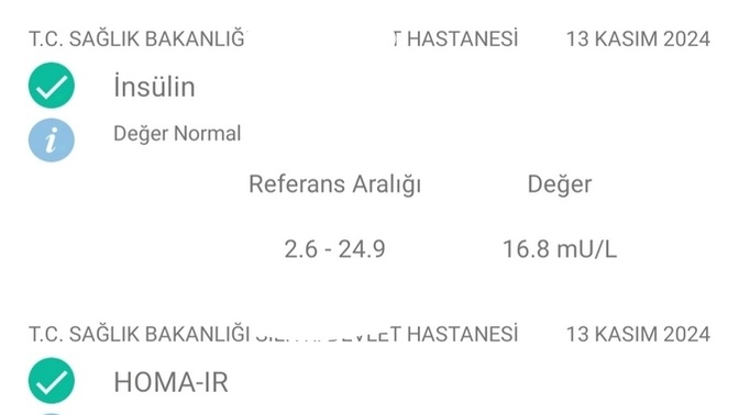 Sağlıkçı varsa değerlerimi yorumlayabilir mi?