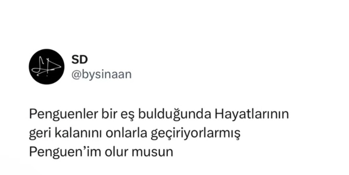 Tekliflere açığım derken bunu beklemiyordum 🤭🤭🤭 penguen nedir yaw? ne desem bilemedim 🤭🤭🤭?