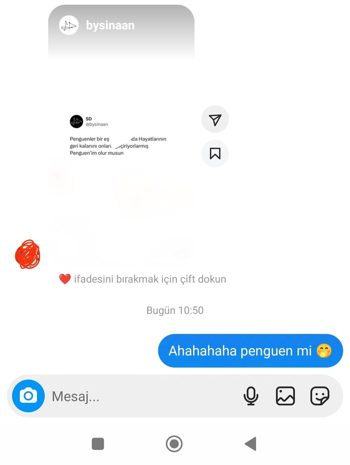 Tekliflere açığım derken bunu beklemiyordum 🤭🤭🤭 penguen nedir yaw? ne desem bilemedim 🤭🤭🤭?