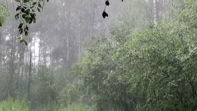 Yağmurlu ve kasvetli havalar ruh halinizi etkiler mi?