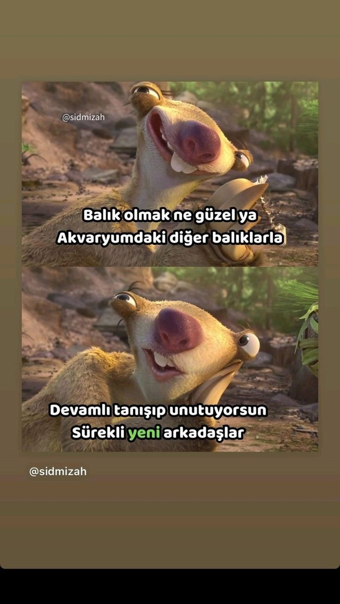 Şimdi seni ne mutlu ederdi?