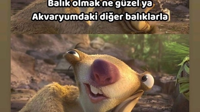 Şimdi seni ne mutlu ederdi?