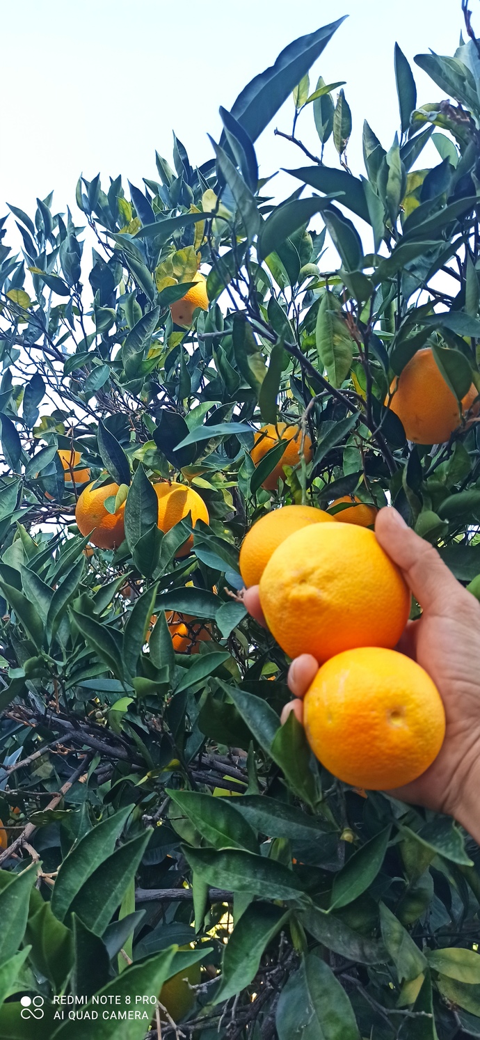 Günün nasıl geçti. Neler hayal ettin?
