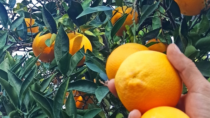 Günün nasıl geçti. Neler hayal ettin?