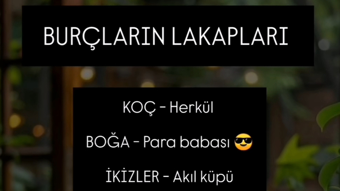 Burcuna göre lakabın neymiş 😂?