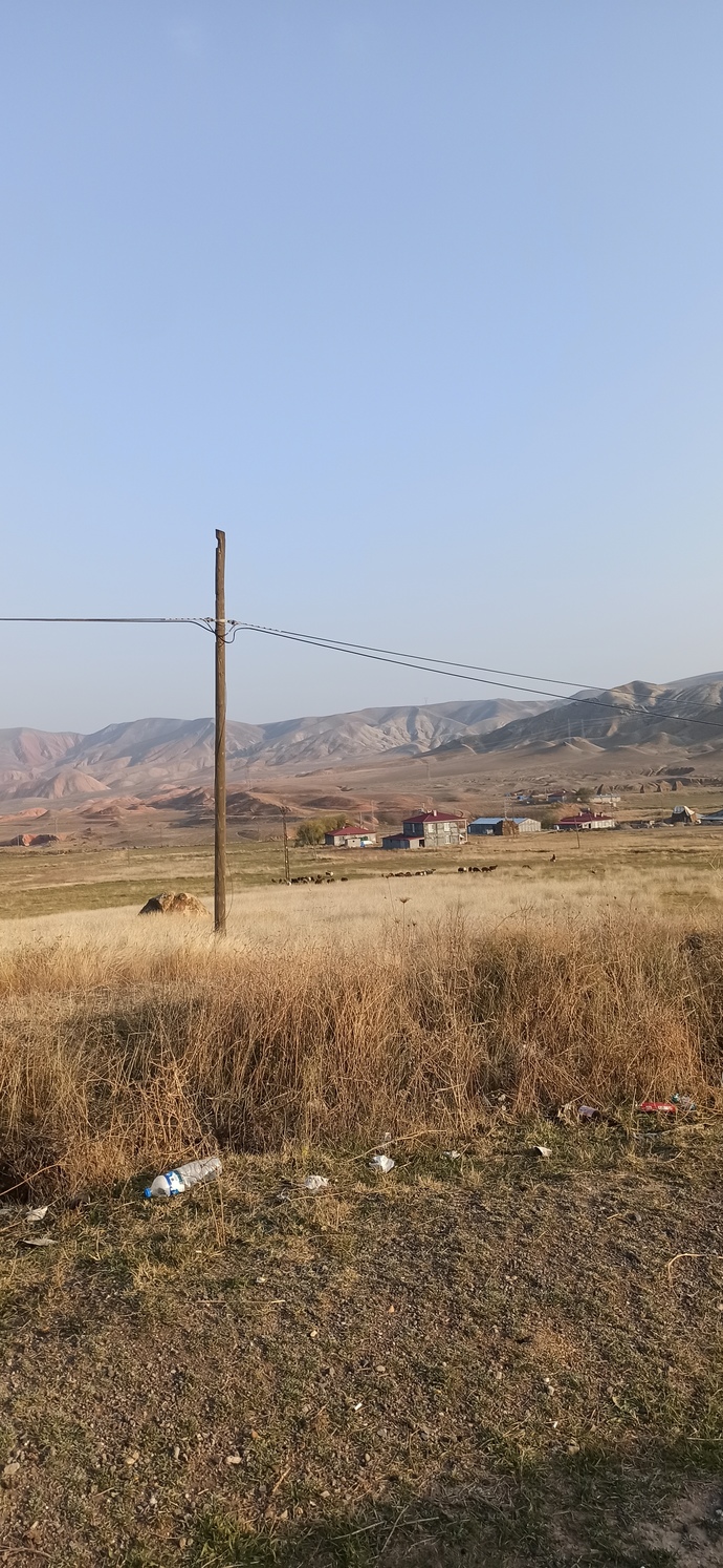 Böyle bir yerde yaşar mıydınız?