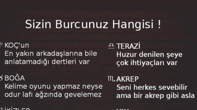 Sizin burcunuz hangisi sizce?