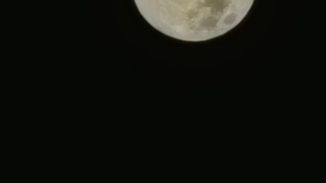 Telefonunuzla Hiç Ay Fotoğrafı Çektiniz mi Kaç X Zoom kadar desteği var?