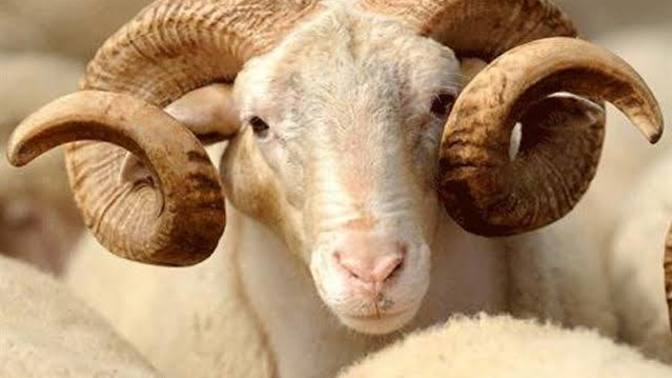 Herkesin sevmediği aynı ortamda bulunmak dahi istemediği bir burç var galiba, sizin için hangisi?