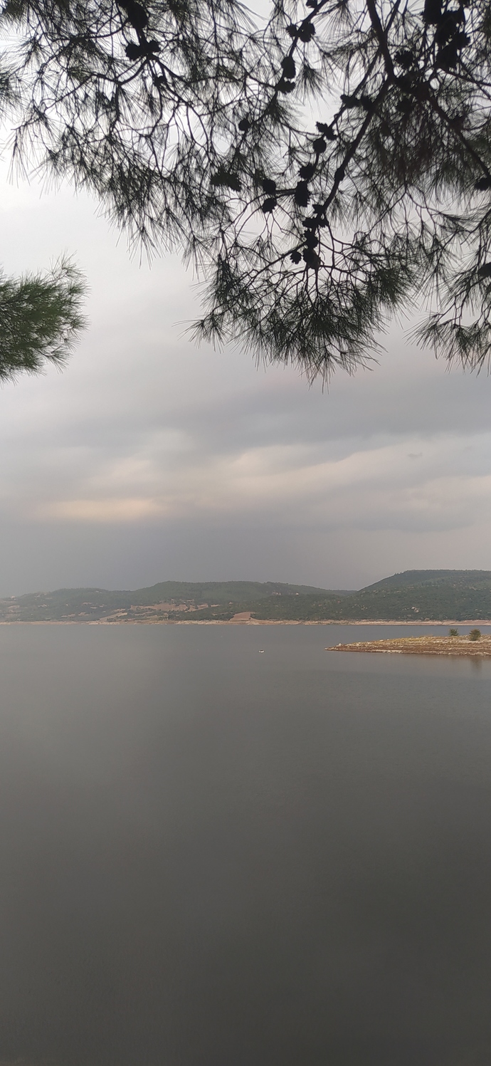 Suya girsem mi acayip yüzmek 🏊 istiyor canim?