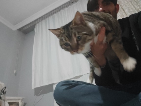 Sizce kedim neyi gördü böyle yerinde durmuyor?