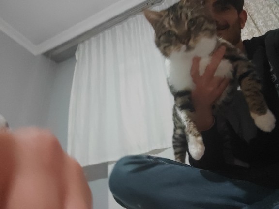 Sizce kedim neyi gördü böyle yerinde durmuyor?