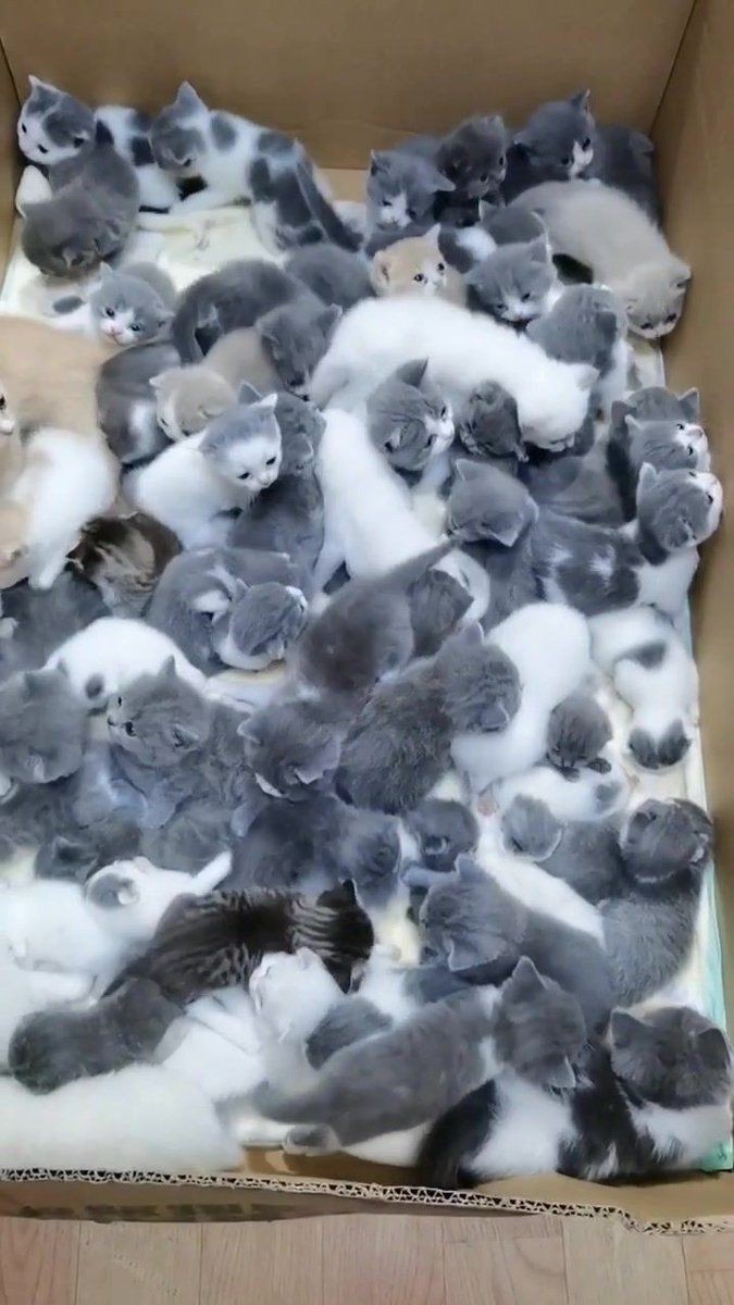 Size böyle bir paket göndersem tepkiniz ne olur?