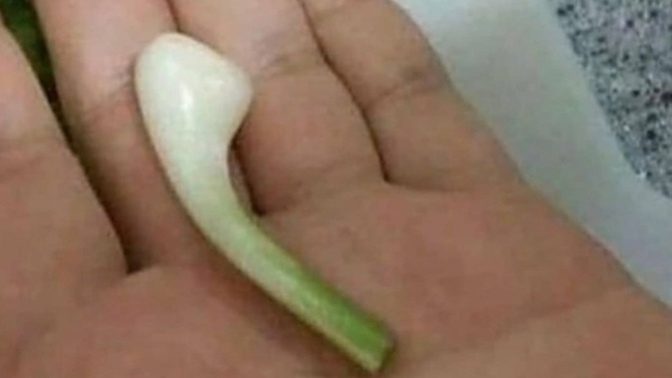 Yeni kulaklık aldım nasıl 🤔🤔rengini pek beğenmedim ama sizde bi bakın istedim 🤭?