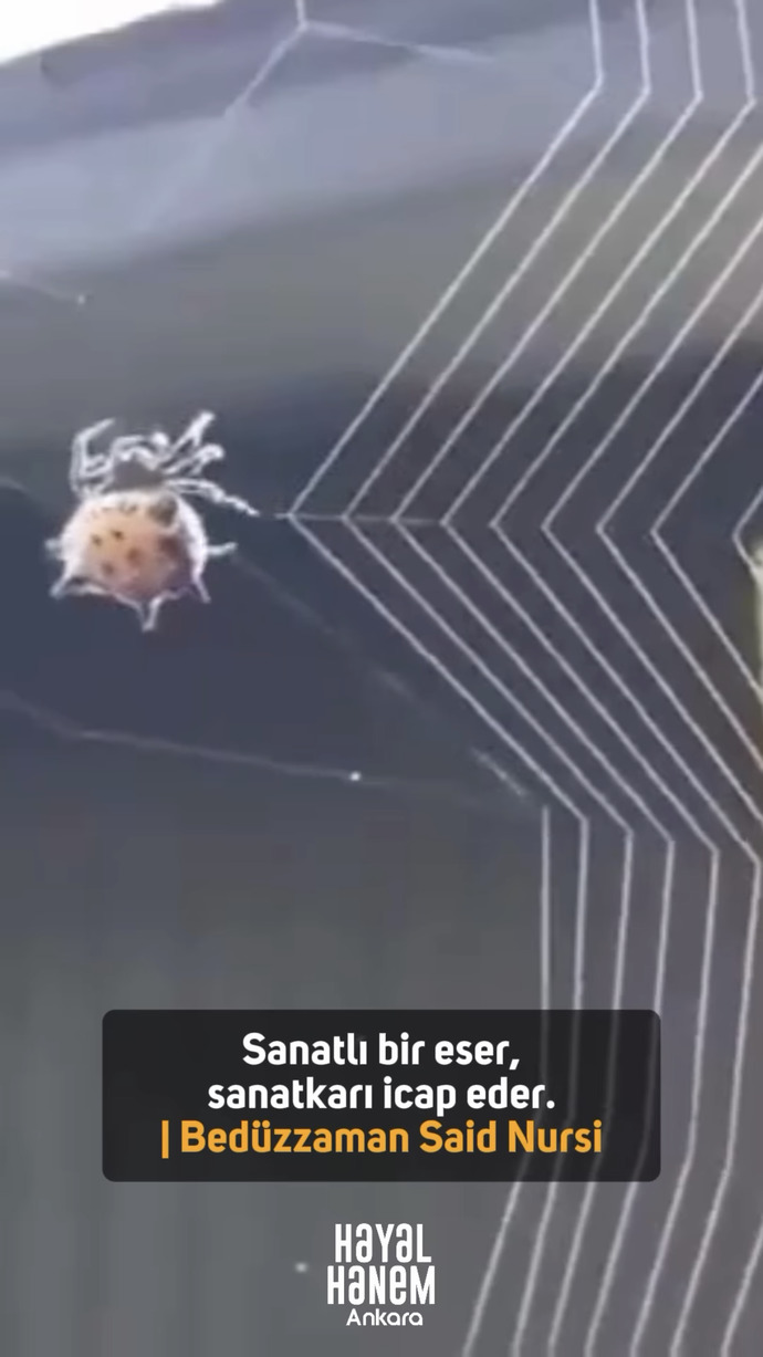 Dinsizliği tercih edenler tamolarak neye inanmak istemiyor?