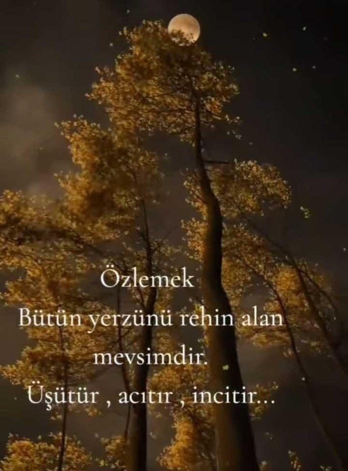 Uzun süredir özlem duydunuz mu?