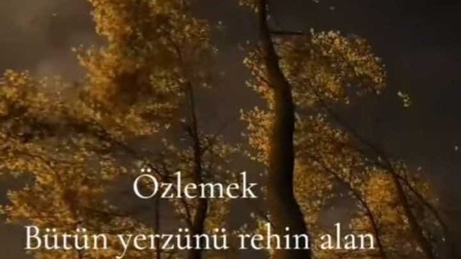 Uzun süredir özlem duydunuz mu?
