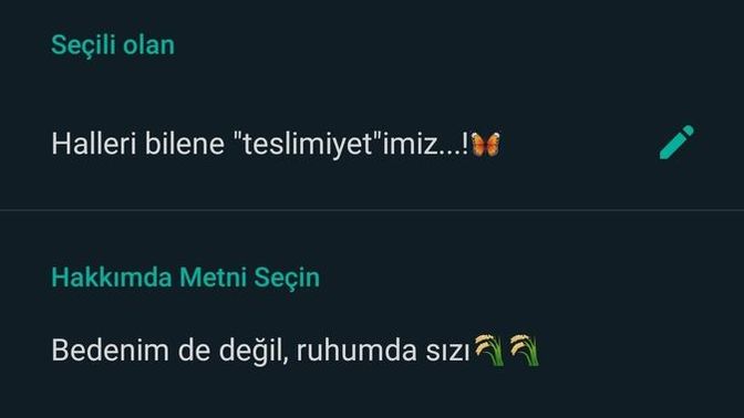 Whatsapp durumunuzda (hakkında kısmında) ne yazıyor?