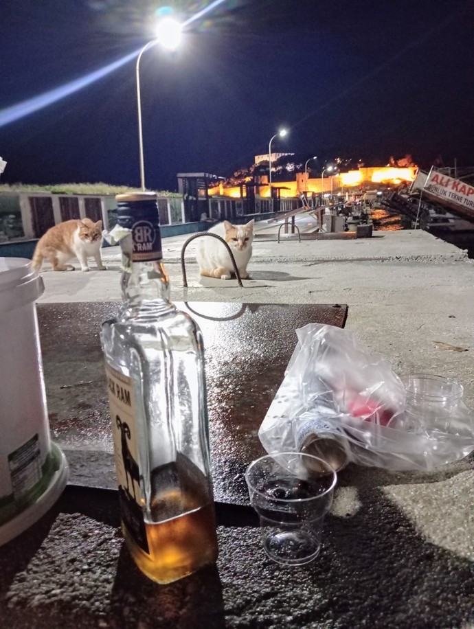 Balık tutmayı sever misiniz?