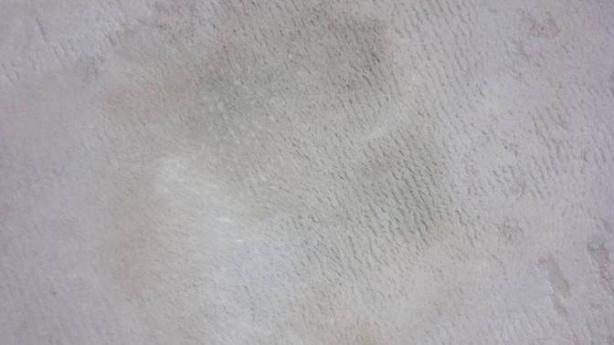 Bu kir halıdan nasıl çıkar?
