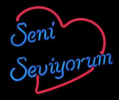 Seni seviyorum cümlesine verilecek en absürt cevaplar nelerdir?