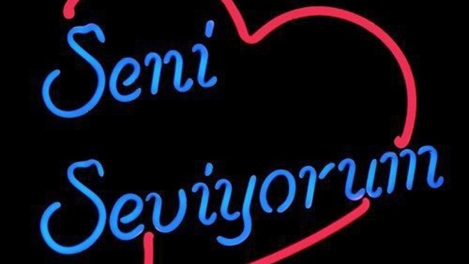 Seni seviyorum cümlesine verilecek en absürt cevaplar nelerdir?