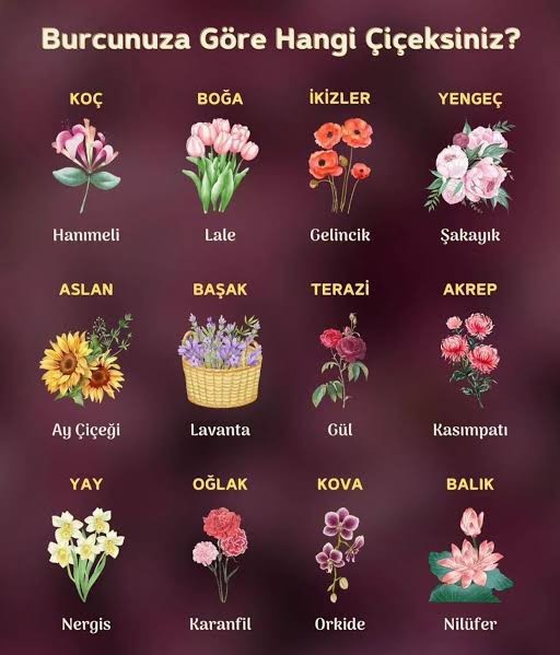 Burcunuza göre hangi çiçeksiniz?