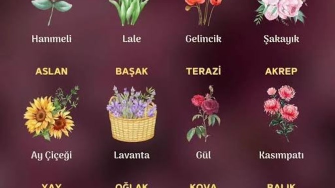 Burcunuza göre hangi çiçeksiniz?
